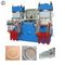 69KW 300 Ton Baking Mat Silicone Molding Machine With Vacuum Cover