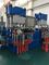 300 ton Dual Plateform Vacuum Compression Moulding Machine for Gasket